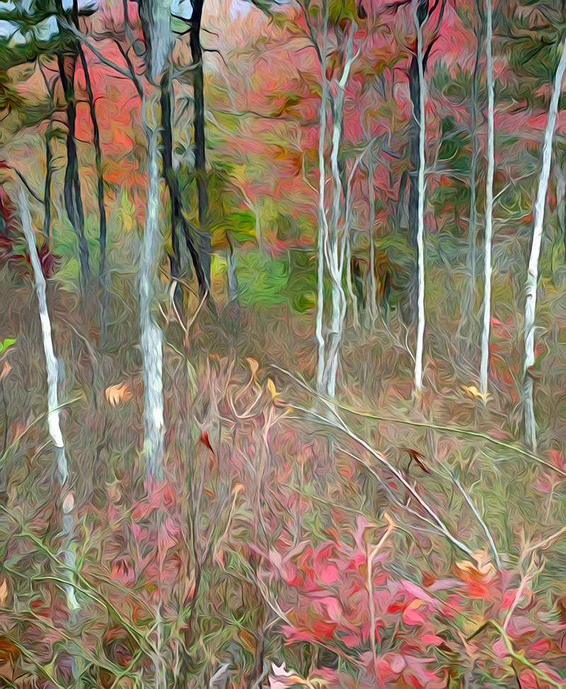 Arts Arlington Artlinks_HolmesFarley_2_CelebratingFall